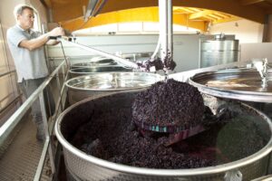 the making of red wine