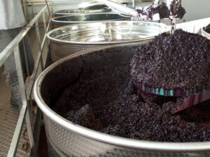 Grapes fermentation