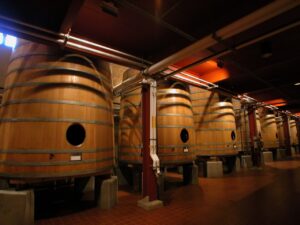 wine fermentation 