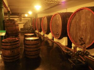 wine-fermentation